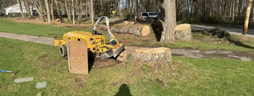 Grizzly Stump Grinding crew working with professional equipment