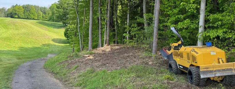 Stump grinding service in Utica, NY