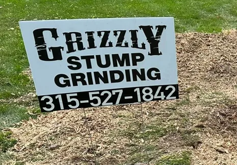 Residential driveway with freshly ground stump area