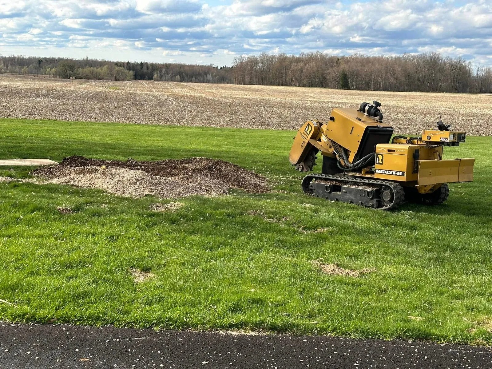 Grizzly Stump Grinding crew clearing a residential property in Central New York