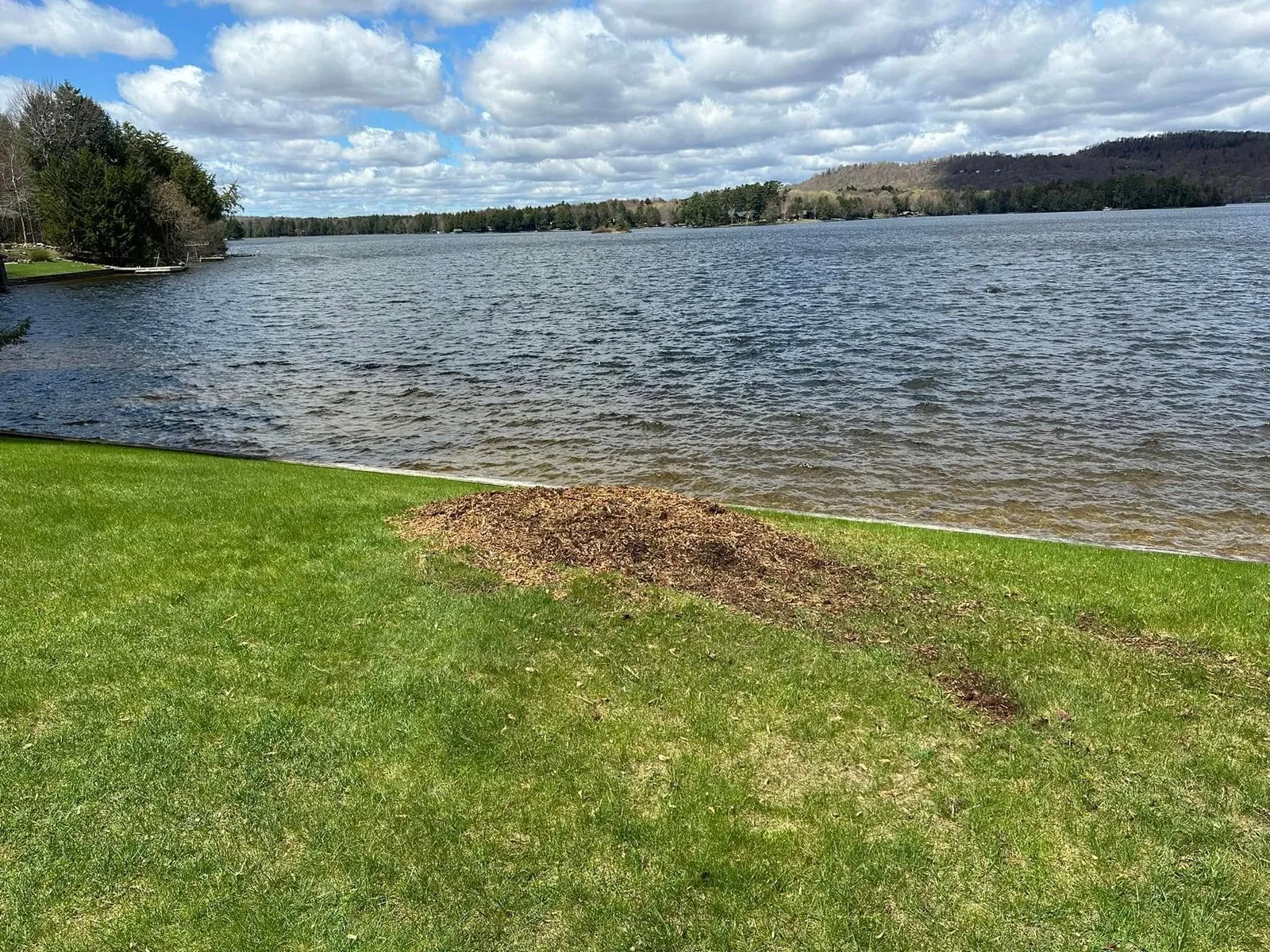 Large tree stump removed with Grizzly equipment