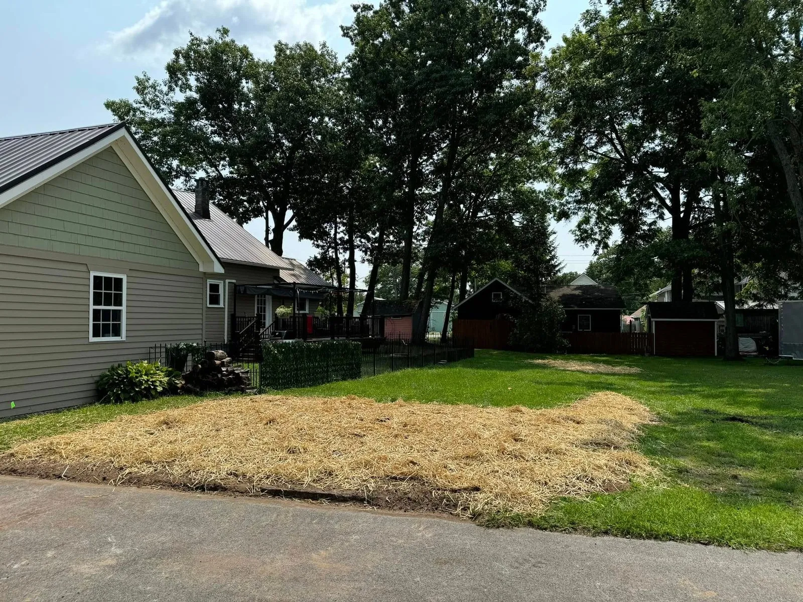 Backyard transformed after stump grinding