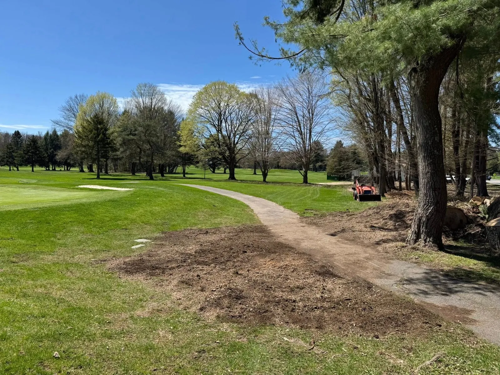 Level ground after professional stump grinding