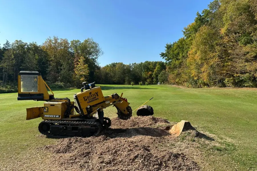 Grizzly Stump Grinding professional equipment removing a tree stump