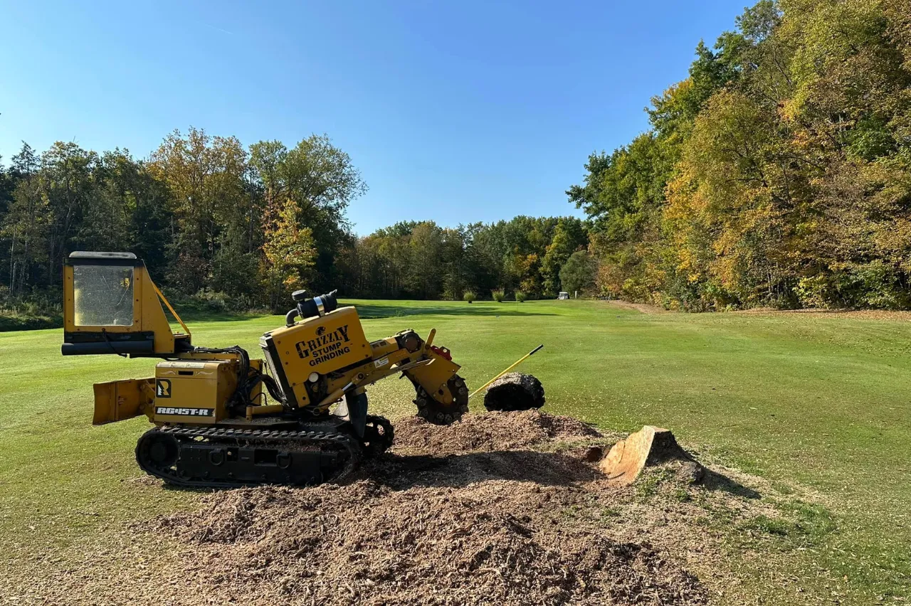 Grizzly Stump Grinding professional equipment removing a tree stump
